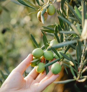 每次保養，都是給自己與地球的溫柔承諾